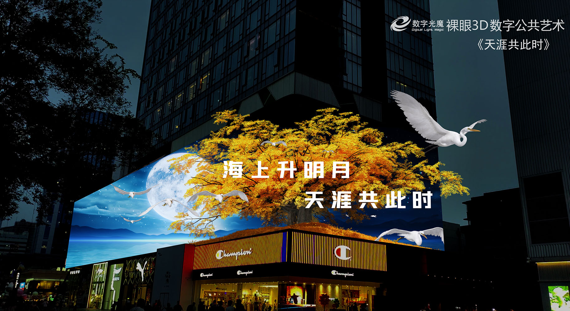 微信圖片_20250103120437.jpg
